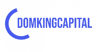 Domking Capital LTD